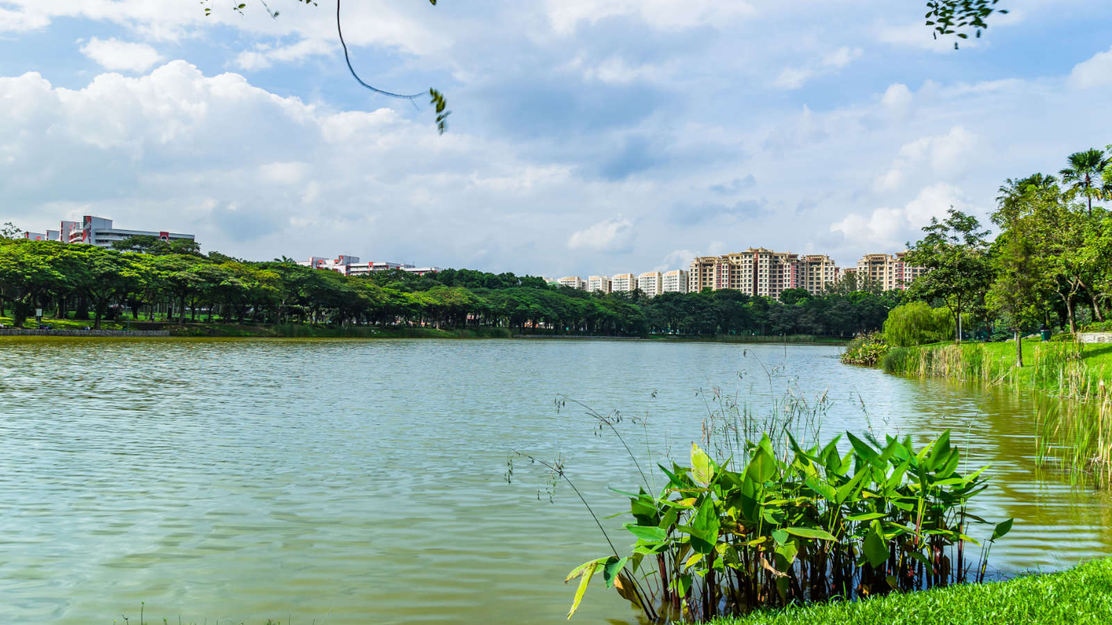 Run For Light 2018 Debuts in Punggol Waterway Park